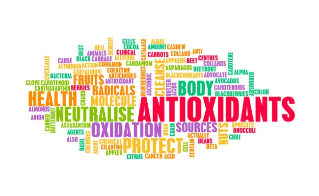Why Are Antioxidants Important for Dogs inner image